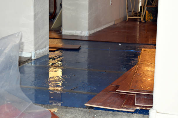 Professional Sewage Cleanup technician working in Henley, MO